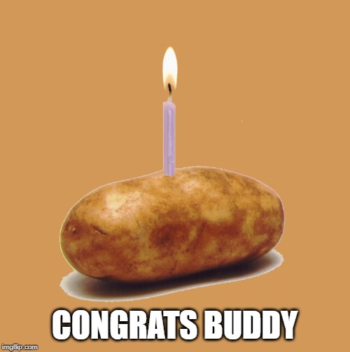 happy birthday potato | CONGRATS BUDDY | image tagged in happy birthday potato | made w/ Imgflip meme maker