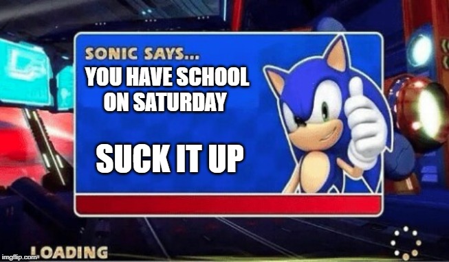Sonic Says | YOU HAVE SCHOOL ON SATURDAY; SUCK IT UP | image tagged in sonic says | made w/ Imgflip meme maker