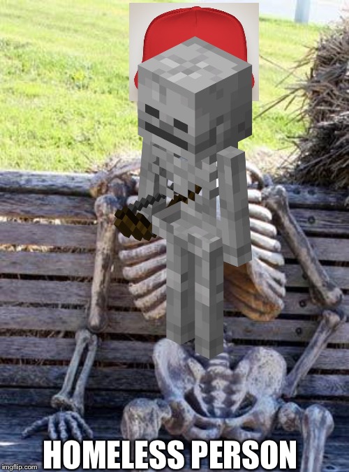 Waiting Skeleton | HOMELESS PERSON | image tagged in memes,waiting skeleton | made w/ Imgflip meme maker