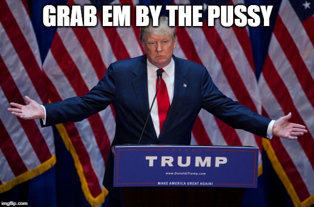 Donald Trump | GRAB EM BY THE PUSSY | image tagged in donald trump | made w/ Imgflip meme maker