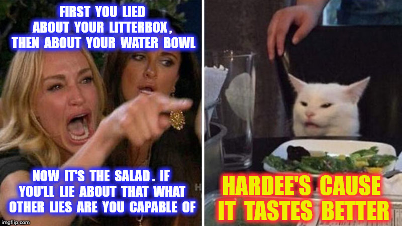 FIRST  YOU  LIED  ABOUT  YOUR  LITTERBOX ,  THEN  ABOUT  YOUR  WATER  BOWL NOW  IT'S  THE  SALAD .  IF  YOU'LL  LIE  ABOUT  THAT  WHAT  OTHE | made w/ Imgflip meme maker