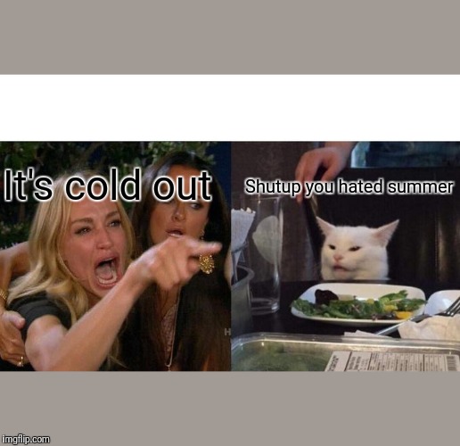 Woman Yelling At Cat | It's cold out; Shutup you hated summer | image tagged in memes,woman yelling at cat | made w/ Imgflip meme maker