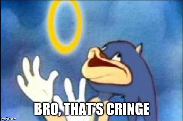 Sonic derp | BRO, THAT'S CRINGE | image tagged in sonic derp | made w/ Imgflip meme maker