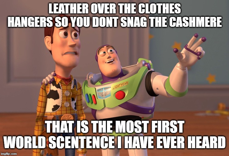first world problems | LEATHER OVER THE CLOTHES HANGERS SO YOU DONT SNAG THE CASHMERE; THAT IS THE MOST FIRST WORLD SCENTENCE I HAVE EVER HEARD | image tagged in memes,x x everywhere | made w/ Imgflip meme maker