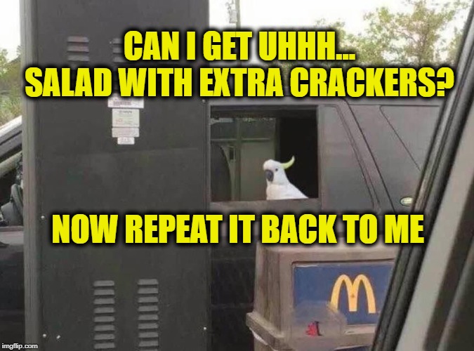 Parrot back the order |  CAN I GET UHHH... SALAD WITH EXTRA CRACKERS? NOW REPEAT IT BACK TO ME | image tagged in can i get uhhh,memes,funny,parrot placing order in a drive thru,mcdonalds | made w/ Imgflip meme maker