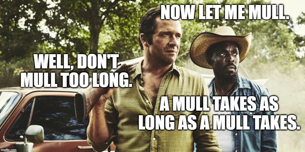 Hap and Leonard | NOW LET ME MULL. WELL, DON'T MULL TOO LONG. A MULL TAKES AS LONG AS A MULL TAKES. | image tagged in mull,hap and leonard,texas,netflix crime,mull this over | made w/ Imgflip meme maker