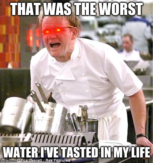 Chef Gordon Ramsay Meme | THAT WAS THE WORST; WATER I'VE TASTED IN MY LIFE | image tagged in memes,chef gordon ramsay | made w/ Imgflip meme maker