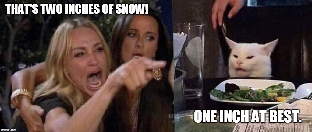 woman yelling at cat | THAT'S TWO INCHES OF SNOW! ONE INCH AT BEST. | image tagged in woman yelling at cat | made w/ Imgflip meme maker