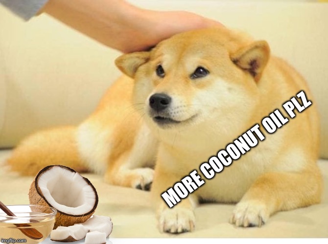 Doggo Coconut  Oil | MORE COCONUT OIL PLZ | image tagged in coconut oil,doggo,funny memes,funny meme | made w/ Imgflip meme maker