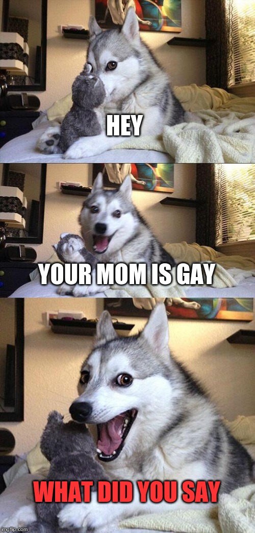 Bad Pun Dog | HEY; YOUR MOM IS GAY; WHAT DID YOU SAY | image tagged in memes,bad pun dog | made w/ Imgflip meme maker