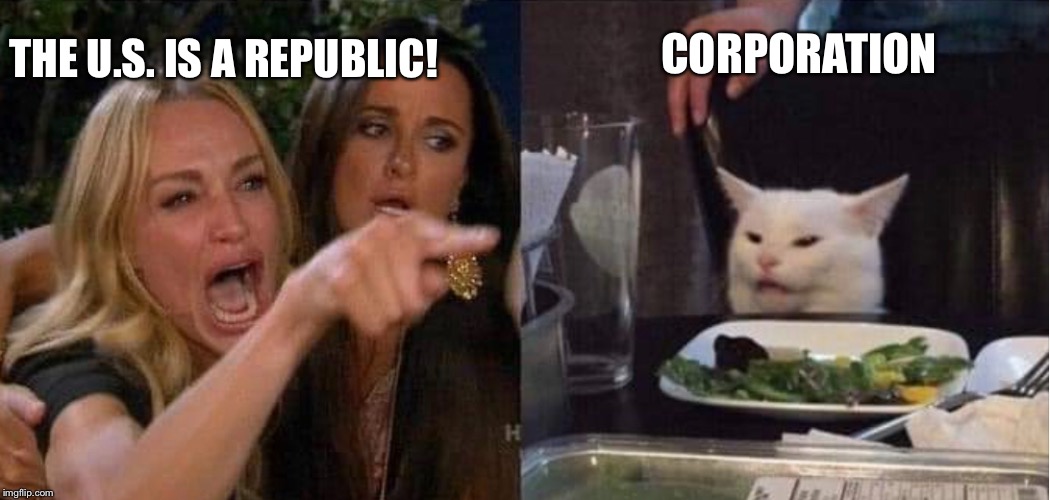 US Republic Corporation? | CORPORATION; THE U.S. IS A REPUBLIC! | image tagged in united states,republic,corporations | made w/ Imgflip meme maker