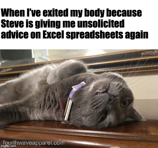 Mansplaining | When I’ve exited my body because 
Steve is giving me unsolicited 
advice on Excel spreadsheets again; fourthwaveapparel.com | image tagged in mansplaining,feminism,feminist,feminist memes | made w/ Imgflip meme maker