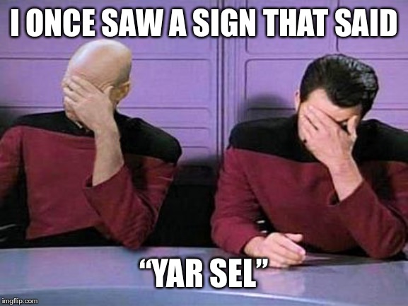 double palm | I ONCE SAW A SIGN THAT SAID; “YAR SEL” | image tagged in double palm | made w/ Imgflip meme maker