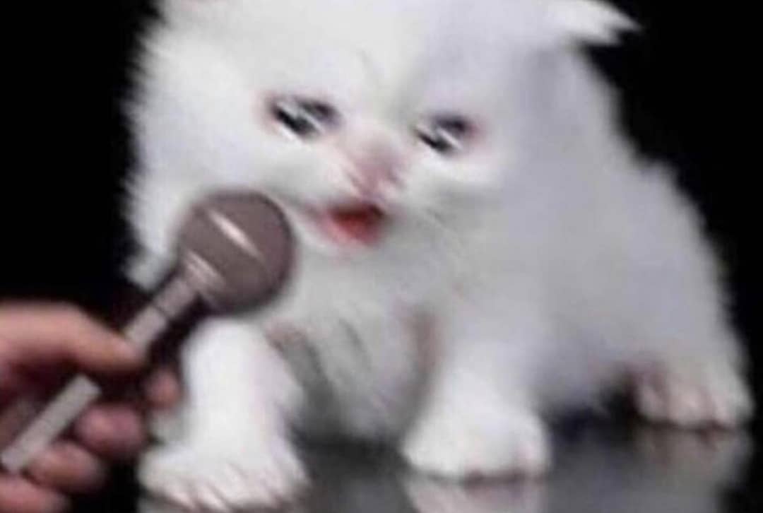 Crying cat with microphone Blank Meme Template