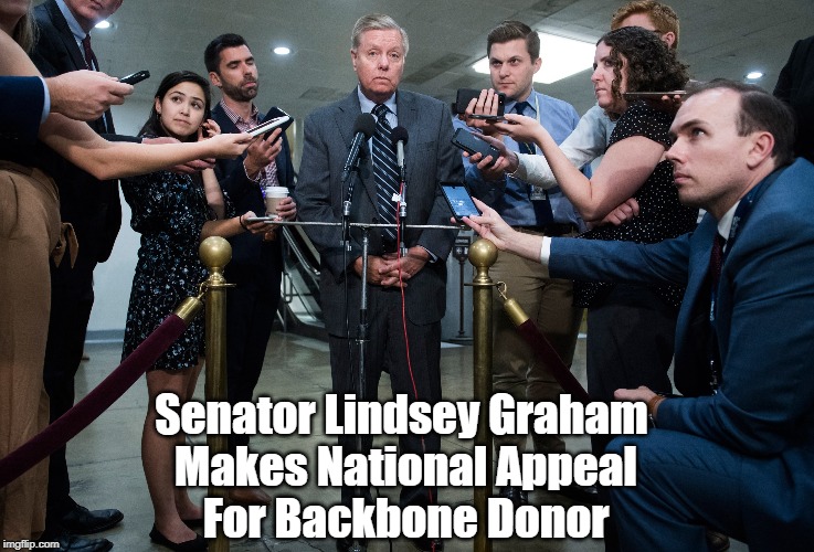 "Lindsey Graham, World's Most Pitiable Human Being" | Senator Lindsey Graham
 Makes National Appeal
 For Backbone Donor | image tagged in lindsey graham,trump,brown nose,suckup,sycophant | made w/ Imgflip meme maker