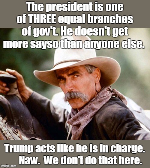 Trump is a wannabe dictator | The president is one of THREE equal branches of gov't. He doesn't get more sayso than anyone else. Trump acts like he is in charge.       Naw.  We don't do that here. | image tagged in equal branches of government,provide checks and balances on each other,supposed to work together for usa,not making america grea | made w/ Imgflip meme maker
