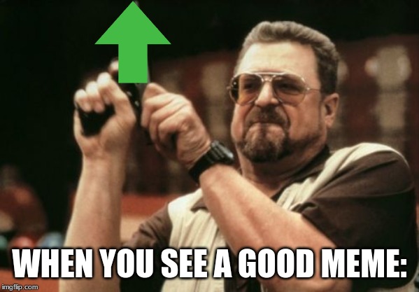 Am I The Only One Around Here | WHEN YOU SEE A GOOD MEME: | image tagged in memes,am i the only one around here | made w/ Imgflip meme maker