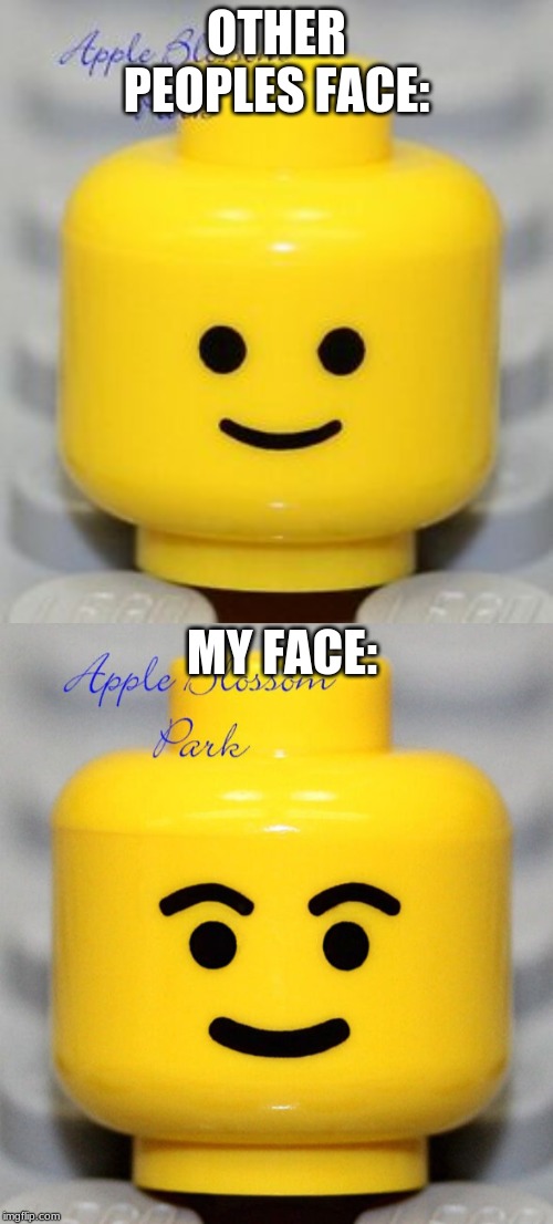 my eyebrows tho. | OTHER PEOPLES FACE:; MY FACE: | image tagged in lego,classic | made w/ Imgflip meme maker