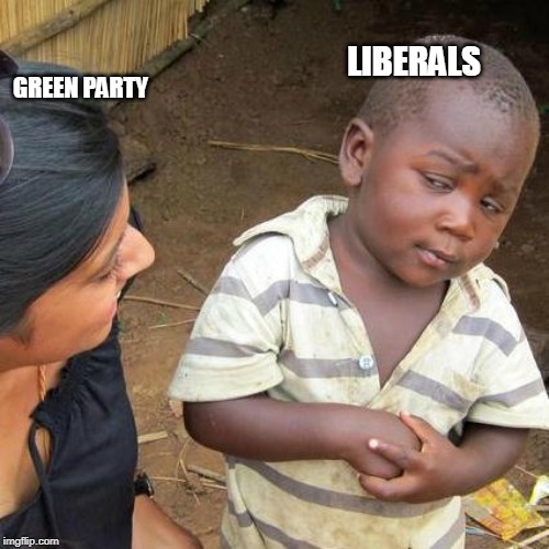 Third World Skeptical Kid | LIBERALS; GREEN PARTY | image tagged in memes,third world skeptical kid | made w/ Imgflip meme maker