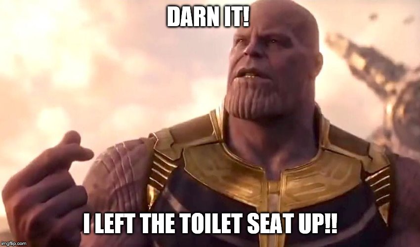 thanos snap | DARN IT! I LEFT THE TOILET SEAT UP!! | image tagged in thanos snap | made w/ Imgflip meme maker