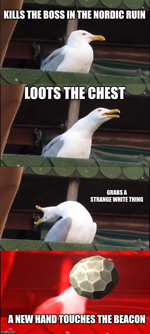 Inhaling Seagull Meme | KILLS THE BOSS IN THE NORDIC RUIN; LOOTS THE CHEST; GRABS A STRANGE WHITE THING; A NEW HAND TOUCHES THE BEACON | image tagged in memes,inhaling seagull | made w/ Imgflip meme maker