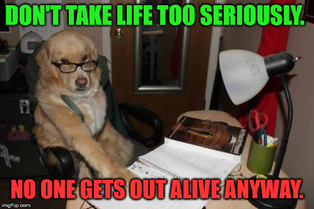 Great advice dog | DON'T TAKE LIFE TOO SERIOUSLY. NO ONE GETS OUT ALIVE ANYWAY. | image tagged in financial advise dog,advice | made w/ Imgflip meme maker