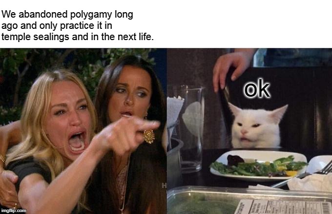 Mormons polygamy cat | We abandoned polygamy long ago and only practice it in temple sealings and in the next life. ok | image tagged in memes,woman yelling at cat,mormon | made w/ Imgflip meme maker