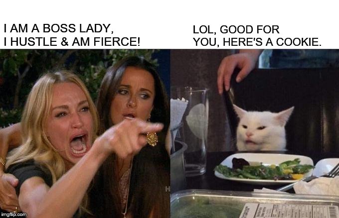 Woman Yelling At Cat Meme | I AM A BOSS LADY, I HUSTLE & AM FIERCE! LOL, GOOD FOR YOU, HERE'S A COOKIE. | image tagged in memes,woman yelling at cat | made w/ Imgflip meme maker