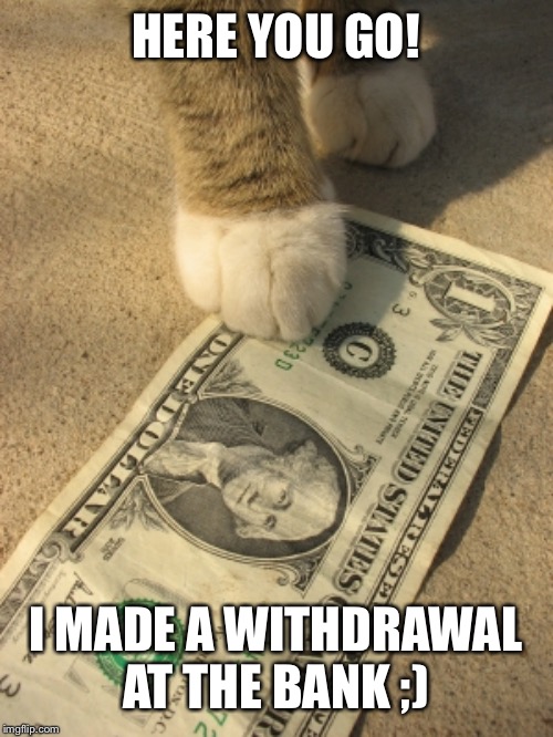 cat money | HERE YOU GO! I MADE A WITHDRAWAL AT THE BANK ;) | image tagged in cat money | made w/ Imgflip meme maker
