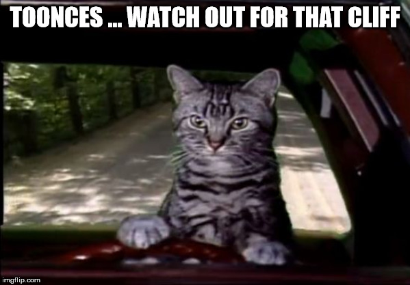 toonces | TOONCES ... WATCH OUT FOR THAT CLIFF | image tagged in toonces | made w/ Imgflip meme maker