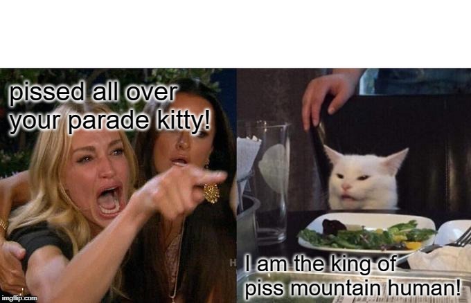 Woman Yelling At Cat Meme | pissed all over your parade kitty! I am the king of piss mountain human! | image tagged in memes,woman yelling at cat | made w/ Imgflip meme maker