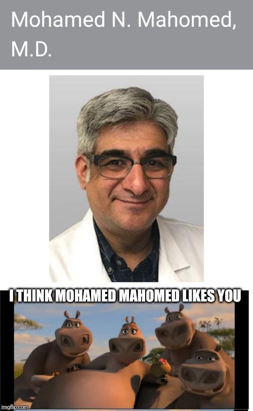 NAME'S SO NICE YOU SAY IT TWICE | I THINK MOHAMED MAHOMED LIKES YOU | image tagged in moto moto | made w/ Imgflip meme maker