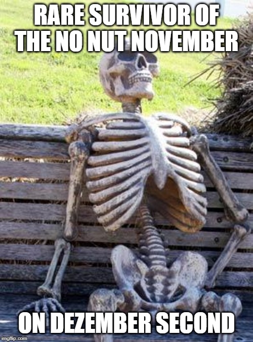 Waiting Skeleton Meme | RARE SURVIVOR OF THE NO NUT NOVEMBER; ON DEZEMBER SECOND | image tagged in memes,waiting skeleton | made w/ Imgflip meme maker