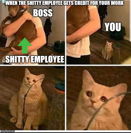 WHEN THE SHITTY EMPLOYEE GETS CREDIT FOR YOUR WORK; BOSS; YOU; SHITTY EMPLOYEE | image tagged in work,boss,coworker,employees,management | made w/ Imgflip meme maker