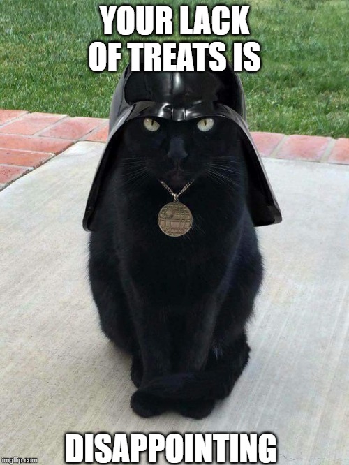 Dark cat | YOUR LACK OF TREATS IS; DISAPPOINTING | image tagged in dark cat | made w/ Imgflip meme maker