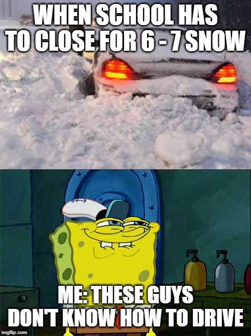 meme spongebob yeah yeah yeah yeah | WHEN SCHOOL HAS TO CLOSE FOR 6 - 7 SNOW; ME: THESE GUYS DON'T KNOW HOW TO DRIVE | image tagged in memes,dont you squidward | made w/ Imgflip meme maker