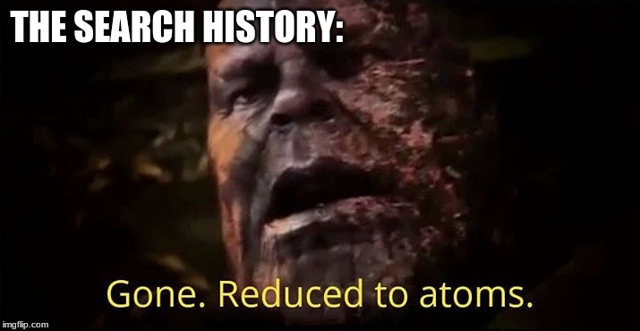 Thanos gone reduced to atoms | THE SEARCH HISTORY: | image tagged in thanos gone reduced to atoms | made w/ Imgflip meme maker