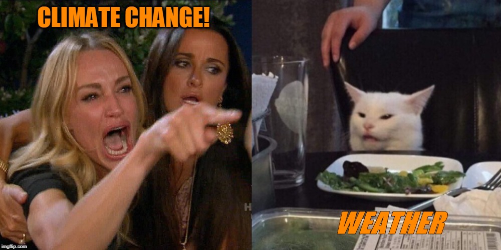 Woman yelling at cat | CLIMATE CHANGE! WEATHER | image tagged in woman yelling at cat | made w/ Imgflip meme maker
