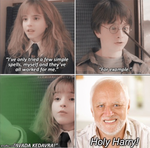 Make him vanish, quick! | Holy Harry! | image tagged in harry potter,hide the pain harold,memes,funny | made w/ Imgflip meme maker