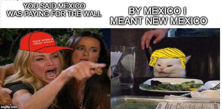 Trump supporter ,Mexico paying for the wall | YOU SAID MEXICO WAS PAYING FOR THE WALL; BY MEXICO I  MEANT NEW MEXICO | image tagged in trump supporters | made w/ Imgflip meme maker