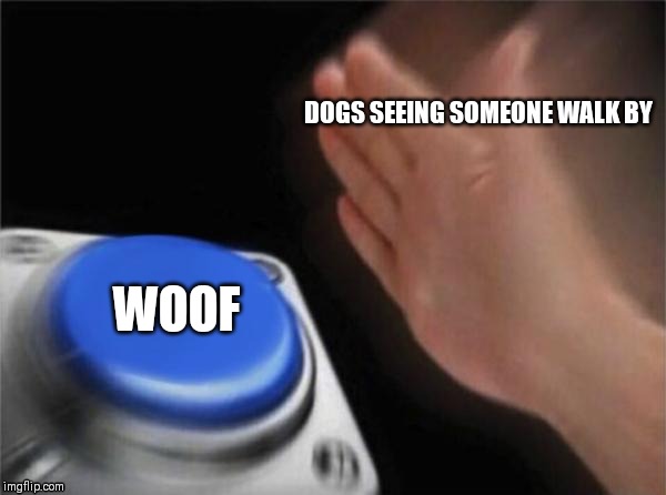 Blank Nut Button | DOGS SEEING SOMEONE WALK BY; WOOF | image tagged in memes,blank nut button | made w/ Imgflip meme maker