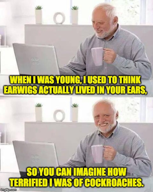 Hide the Pain Harold | WHEN I WAS YOUNG, I USED TO THINK EARWIGS ACTUALLY LIVED IN YOUR EARS, SO YOU CAN IMAGINE HOW TERRIFIED I WAS OF COCKROACHES. | image tagged in memes,hide the pain harold | made w/ Imgflip meme maker