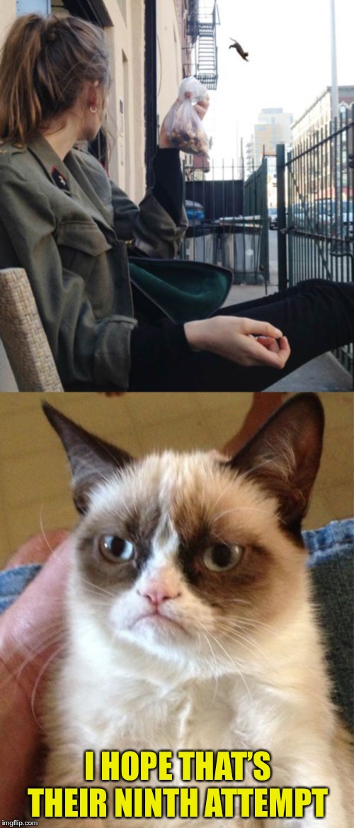 Guess the cat was too curious about something for its own good. | I HOPE THAT’S THEIR NINTH ATTEMPT | image tagged in memes,grumpy cat,suicide,cat,nine lives,cats | made w/ Imgflip meme maker