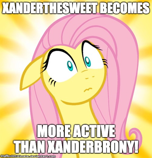 Shocking! | XANDERTHESWEET BECOMES; MORE ACTIVE THAN XANDERBRONY! | image tagged in shocked fluttershy,xanderbrony,xanderthesweet,memes,imgflip | made w/ Imgflip meme maker