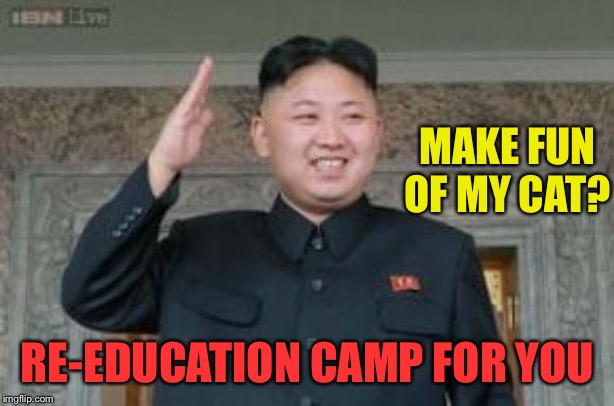 MAKE FUN OF MY CAT? RE-EDUCATION CAMP FOR YOU | made w/ Imgflip meme maker
