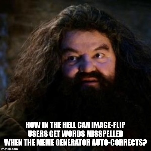 You're a wizard harry | HOW IN THE HELL CAN IMAGE-FLIP USERS GET WORDS MISSPELLED WHEN THE MEME GENERATOR AUTO-CORRECTS? | image tagged in you're a wizard harry | made w/ Imgflip meme maker