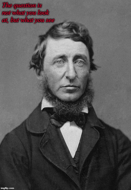 Henry David Thoreau | The question is not what you look at, but what you see | image tagged in inspirational quote | made w/ Imgflip meme maker