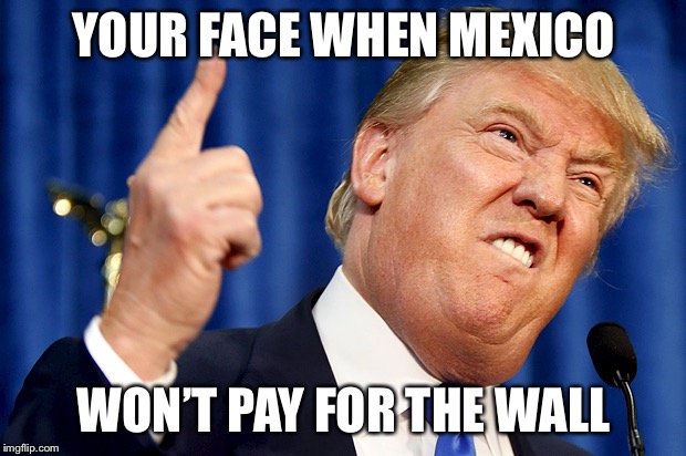 Donald Trump | YOUR FACE WHEN MEXICO; WON’T PAY FOR THE WALL | image tagged in donald trump | made w/ Imgflip meme maker