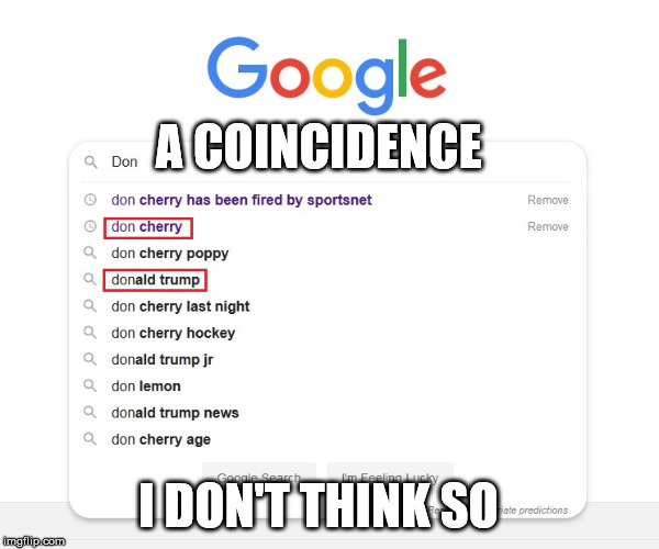 Don Cherry | A COINCIDENCE; I DON'T THINK SO | image tagged in don cherry,donald trump,cbc,hockey,coaches corner | made w/ Imgflip meme maker