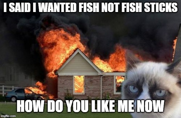 Burn Kitty Meme | I SAID I WANTED FISH NOT FISH STICKS; HOW DO YOU LIKE ME NOW | image tagged in memes,burn kitty,grumpy cat | made w/ Imgflip meme maker